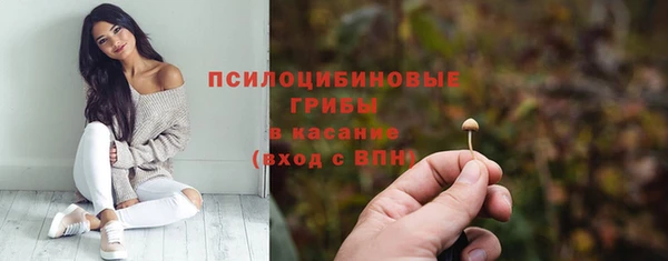 стаф Новодвинск
