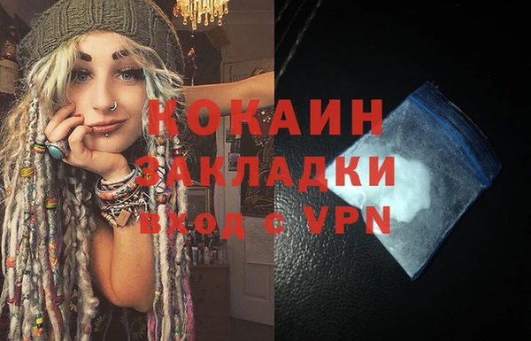 стаф Новодвинск