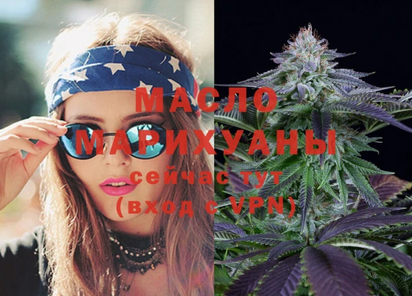 стаф Новодвинск