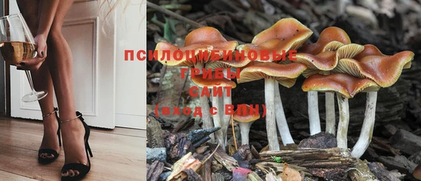 MDMA Новозыбков