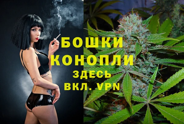 стаф Новодвинск