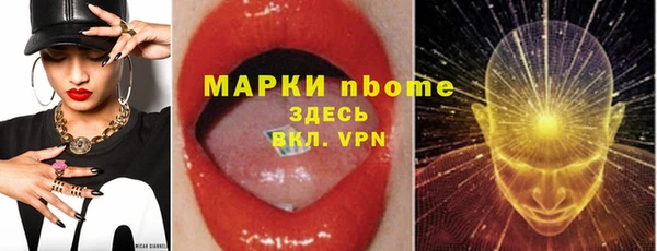 стаф Новодвинск