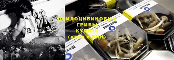 стаф Новодвинск
