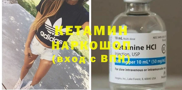 стаф Новодвинск