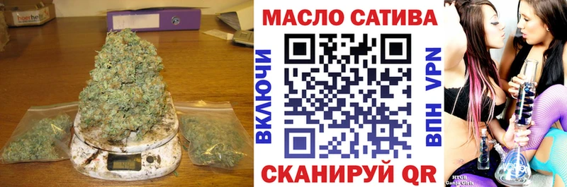 ТГК концентрат  Купить где  Стародуб 